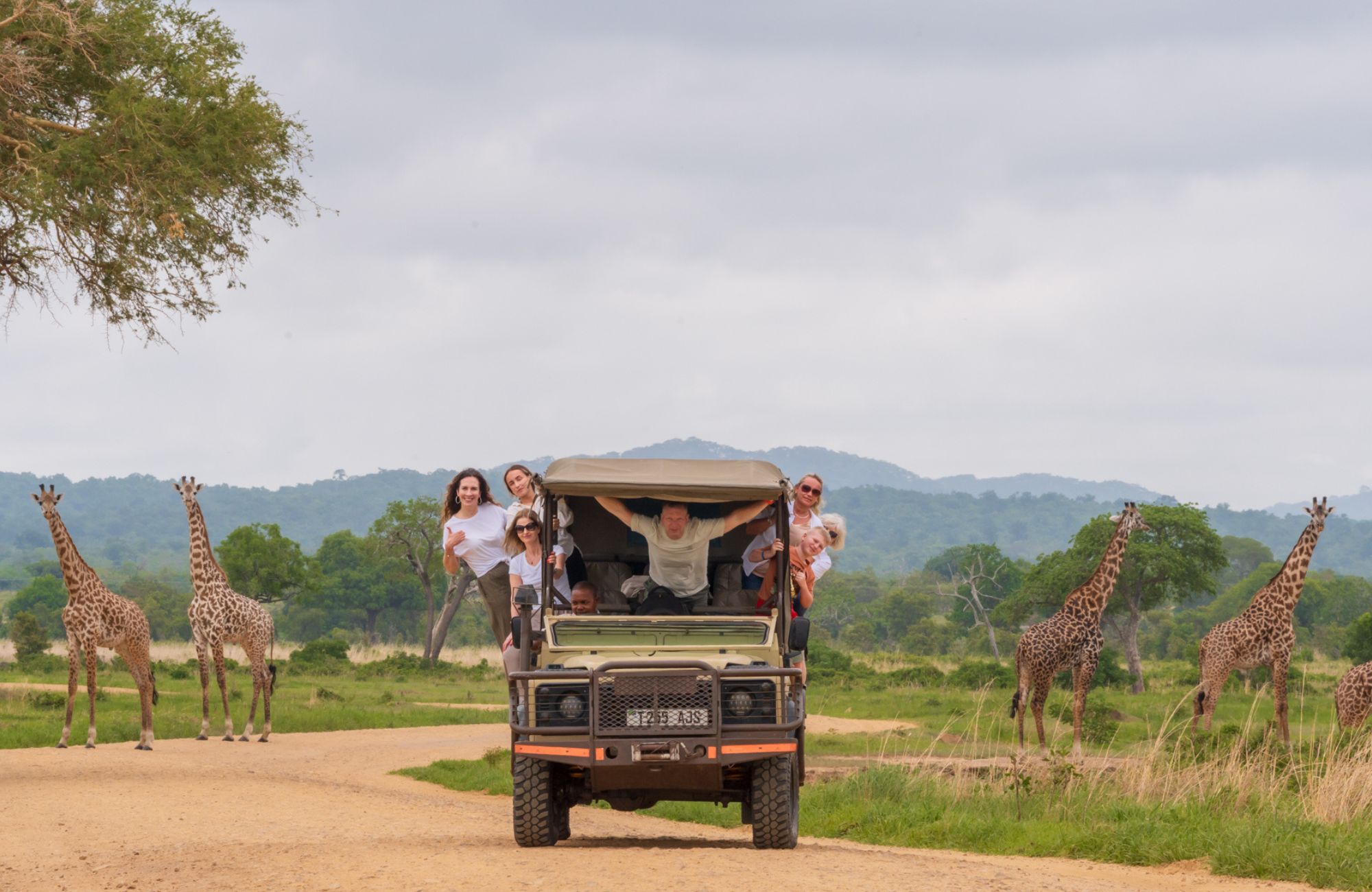 Tanzania wildlife safari